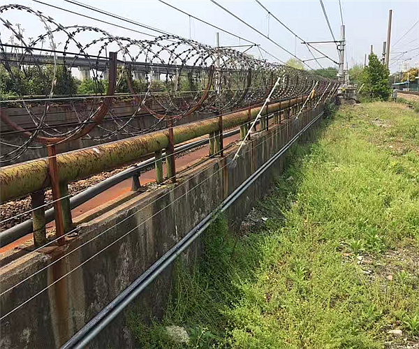 上海龙阳路地铁站电子围栏项目