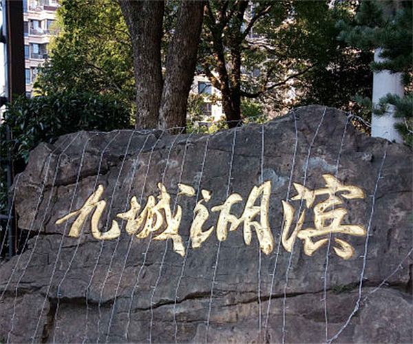 上海九城湖滨小区电子围栏项目
